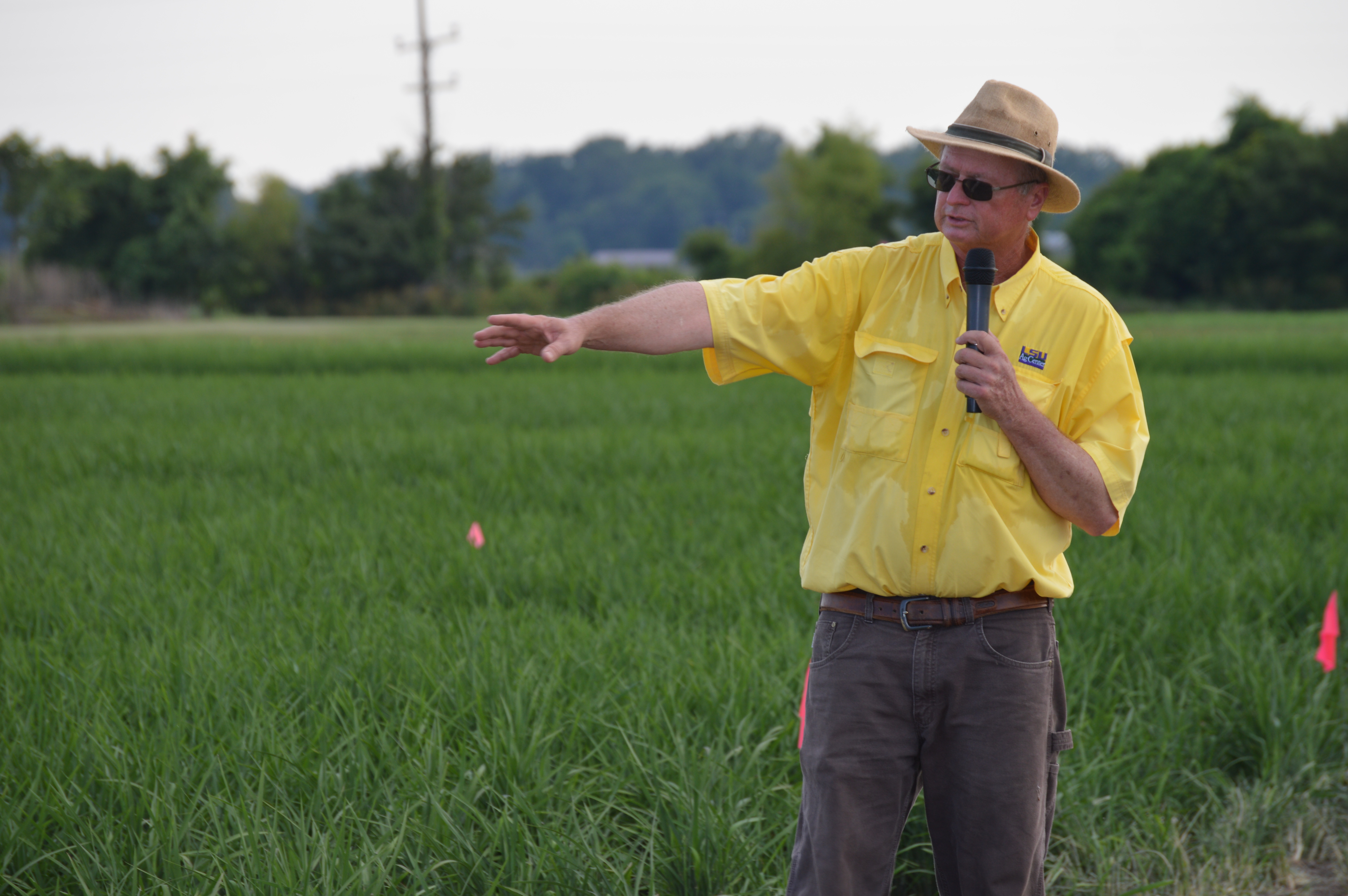 LSU AgCenter Northeast Research Station plans two field days for July